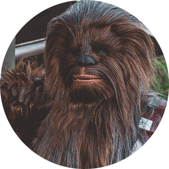 Chewbacca